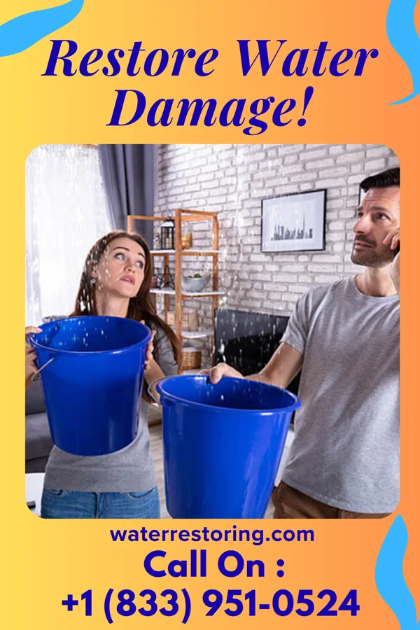 water restoration Stellar Mitigation Professionals Zoar