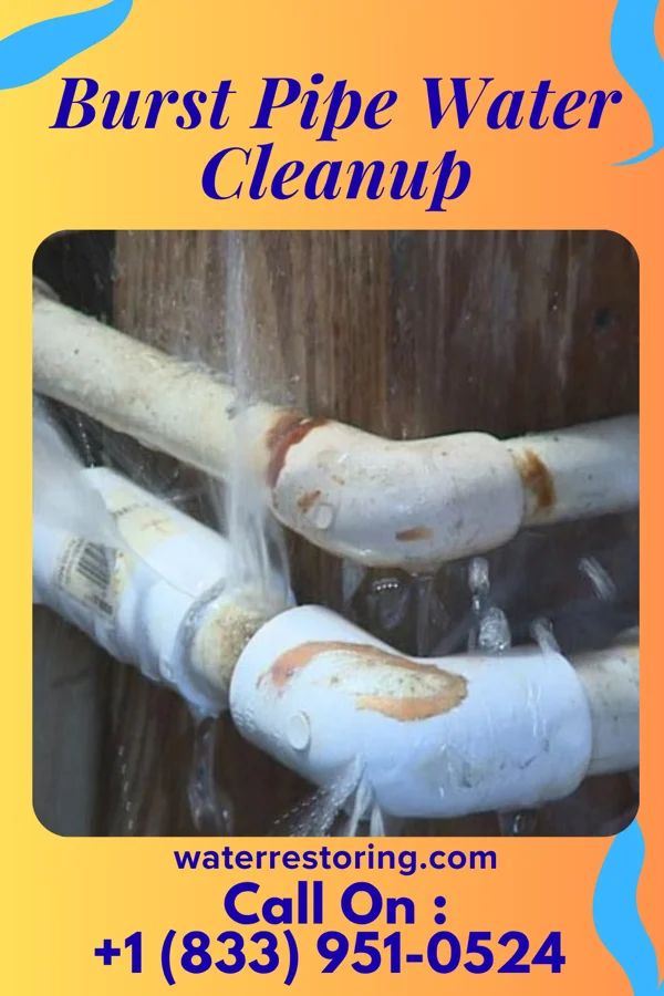 Burst Pipe Water Cleanup in Zoar, WI