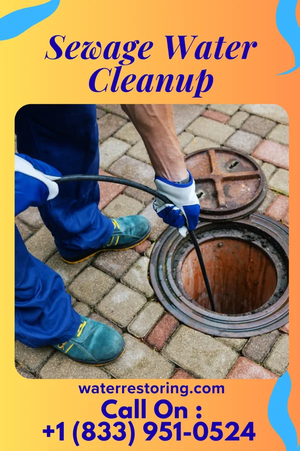 Sewage Water Cleanup in Zoar, WI